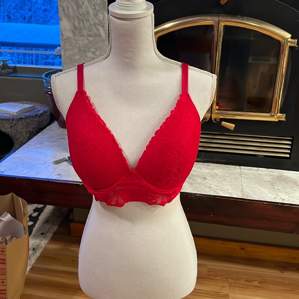 VS Pink Red Bra